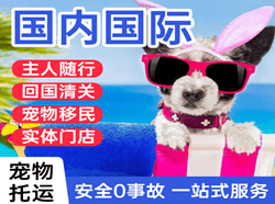大同航空邮寄国际宠物托运 【国